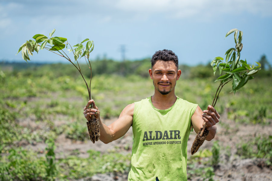 Das aldeias da mata para o mundo!