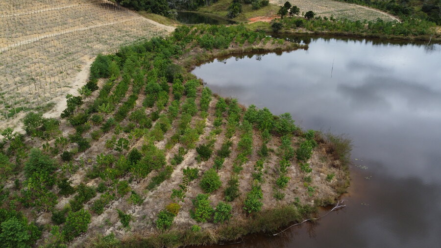 Agro: as vantagens (e as necessidades) de implantar a restauração florestal