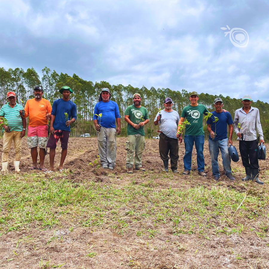 Projeto Pomares da Mata Atlântica realiza etapa de Plantio de SAF no Assentamento Jequitibá