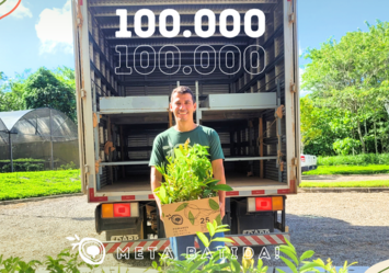 Projeto distribui 100 mil mudas frutíferas nativas da Mata Atlântica para plantio de pomares