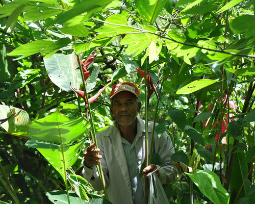 Athaide José Pena