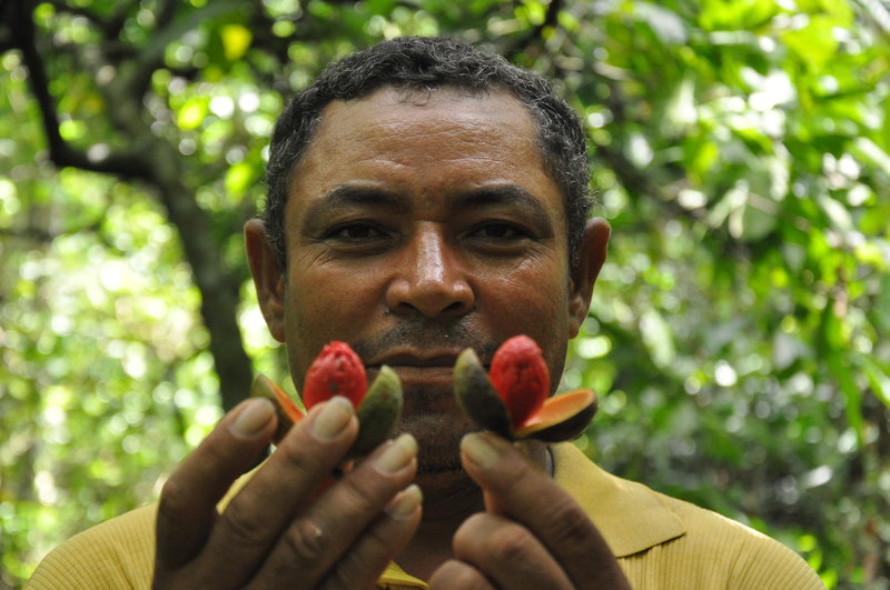 Plínio Gomes dos Santos